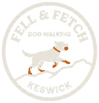 Fell & Fetch Dog Walking