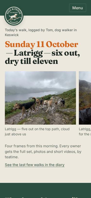 Fell & Fetch home page on a phone